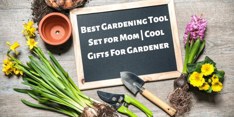 You are currently viewing Best Gardening Tool Set for Mom | Cool Gifts For Gardener