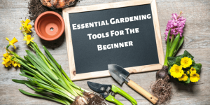 Read more about the article Essential Gardening Tools For The Beginner