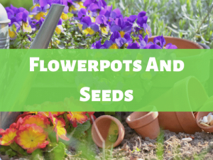 Flowerpots And Seeds